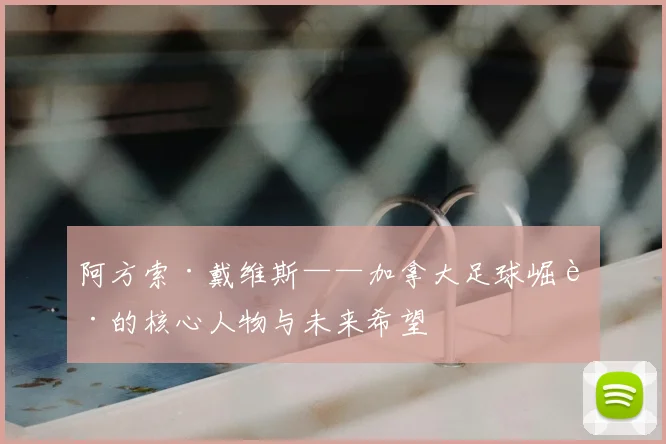 阿方索·戴维斯——加拿大足球崛起的核心人物与未来希望