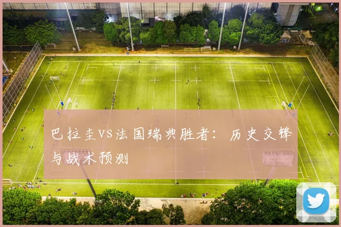 巴拉圭vs法国瑞典胜者：历史交锋与战术预测